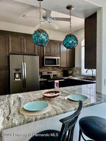 4207 Carlos Court, Hernando Beach, FL 34607