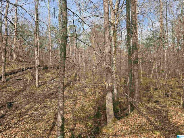 354 SPRINGWELL ROAD, Rockford, AL 35136