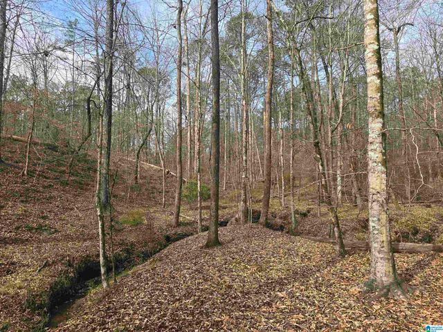 354 SPRINGWELL ROAD, Rockford, AL 35136