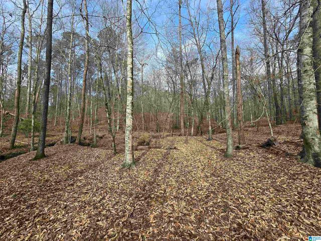 354 SPRINGWELL ROAD, Rockford, AL 35136