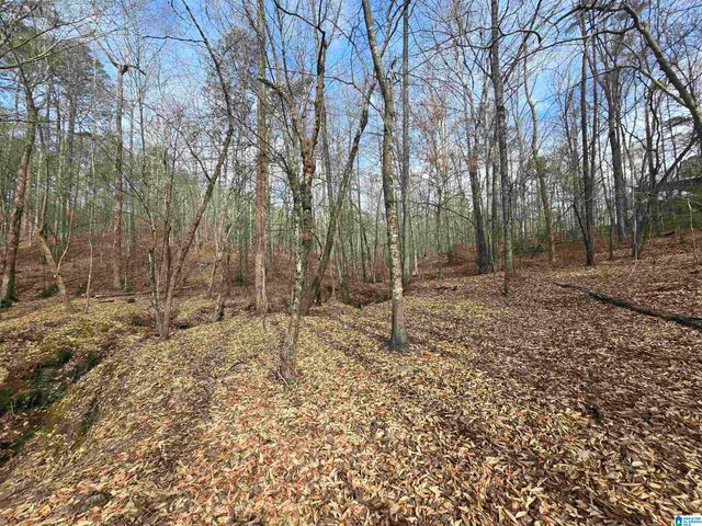 354 SPRINGWELL ROAD, Rockford, AL 35136