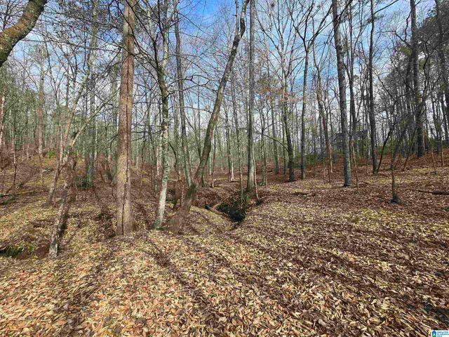 354 SPRINGWELL ROAD, Rockford, AL 35136