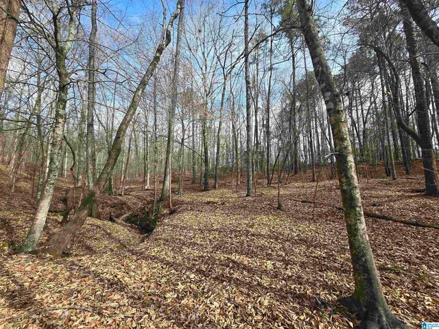 354 SPRINGWELL ROAD, Rockford, AL 35136