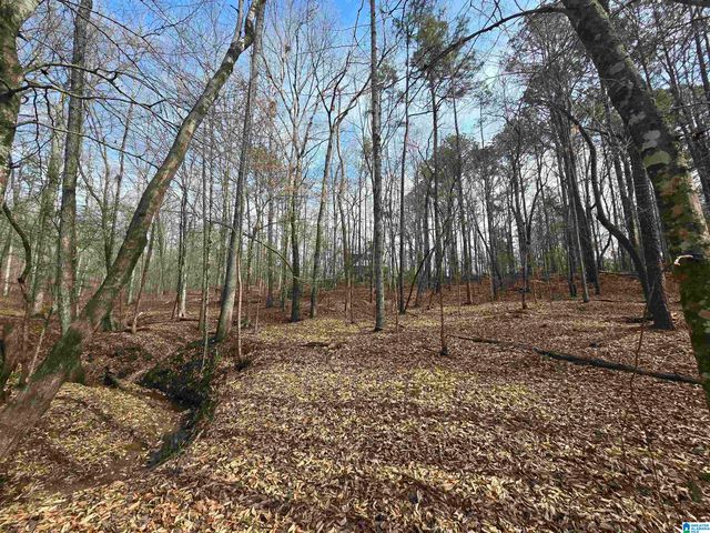 354 SPRINGWELL ROAD, Rockford, AL 35136