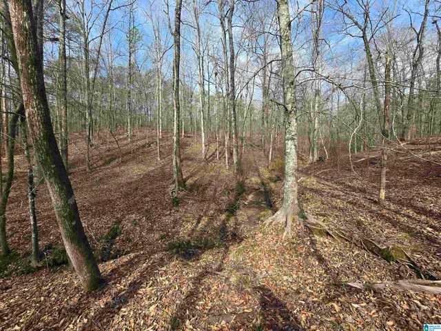 354 SPRINGWELL ROAD, Rockford, AL 35136