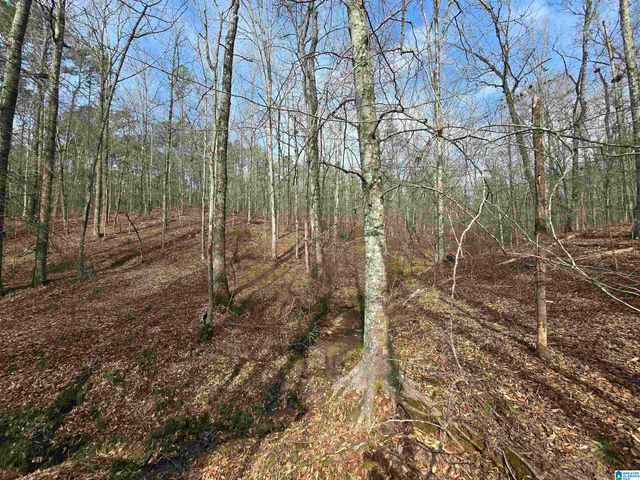 354 SPRINGWELL ROAD, Rockford, AL 35136