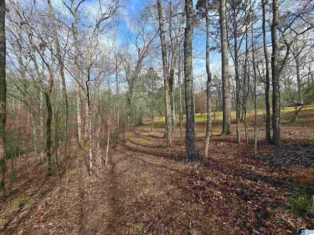 354 SPRINGWELL ROAD, Rockford, AL 35136