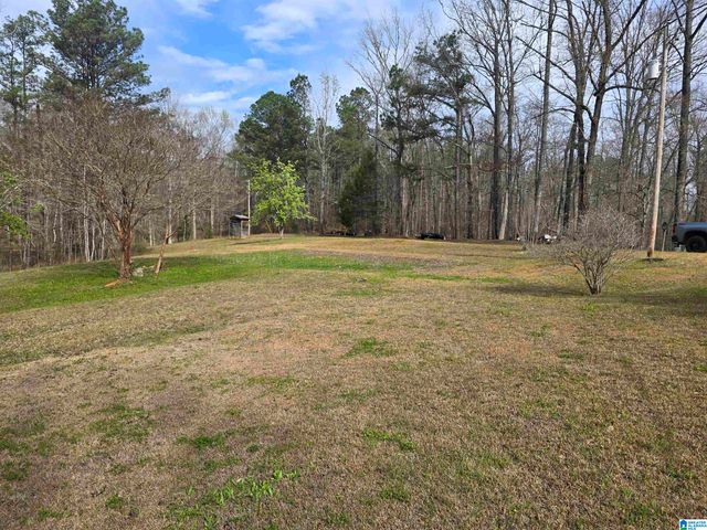 354 SPRINGWELL ROAD, Rockford, AL 35136