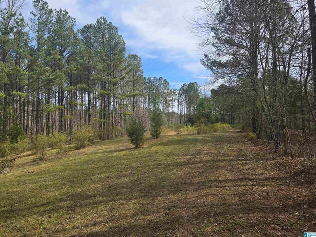 354 SPRINGWELL ROAD, Rockford, AL 35136