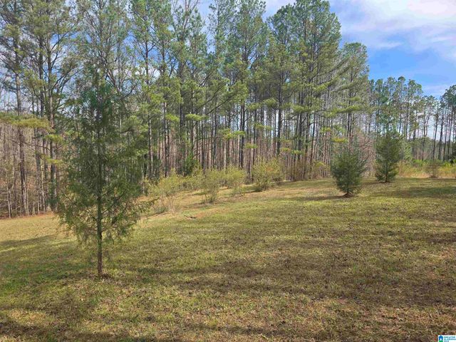 354 SPRINGWELL ROAD, Rockford, AL 35136