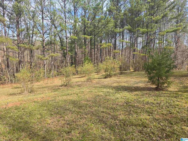 354 SPRINGWELL ROAD, Rockford, AL 35136