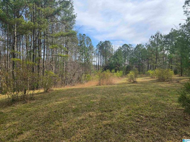 354 SPRINGWELL ROAD, Rockford, AL 35136