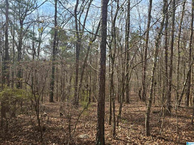 354 SPRINGWELL ROAD, Rockford, AL 35136