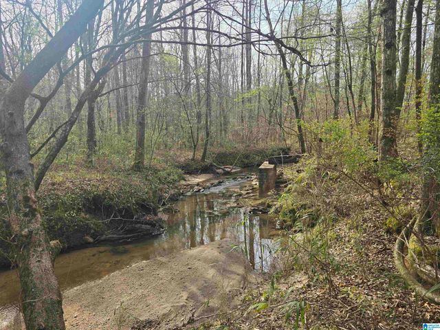 354 SPRINGWELL ROAD, Rockford, AL 35136