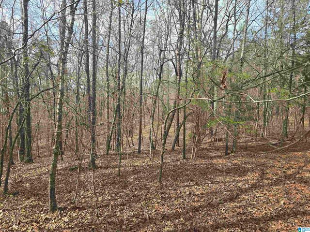 354 SPRINGWELL ROAD, Rockford, AL 35136