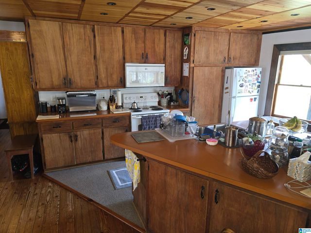 354 SPRINGWELL ROAD, Rockford, AL 35136