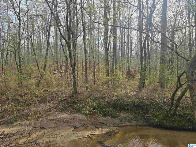 354 SPRINGWELL ROAD, Rockford, AL 35136