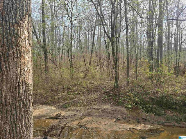 354 SPRINGWELL ROAD, Rockford, AL 35136