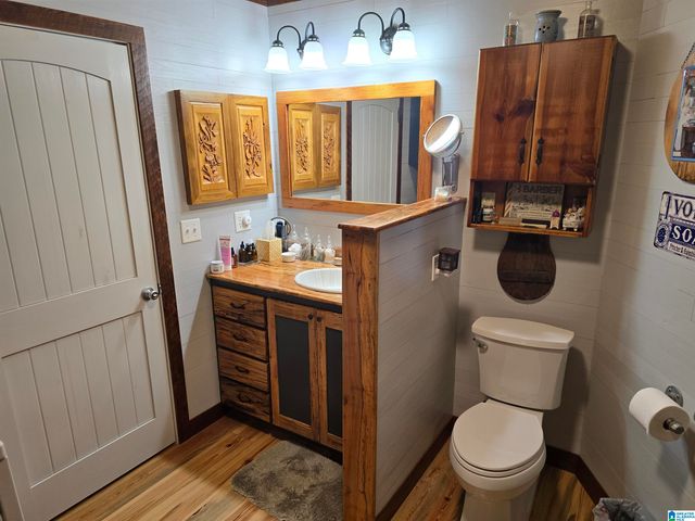 354 SPRINGWELL ROAD, Rockford, AL 35136