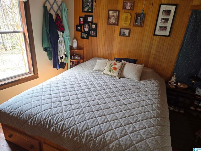 354 SPRINGWELL ROAD, Rockford, AL 35136