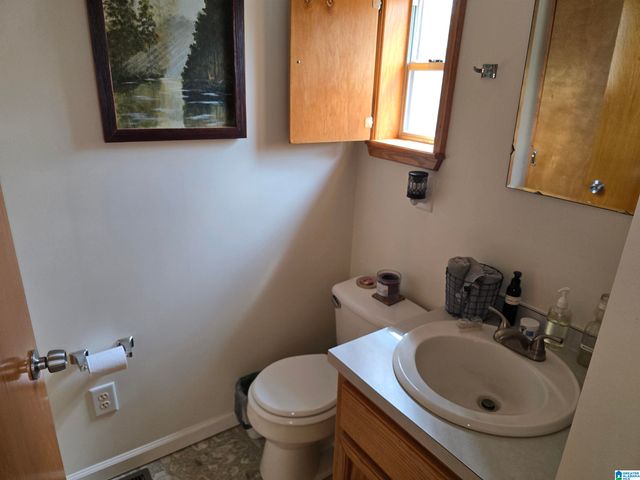 354 SPRINGWELL ROAD, Rockford, AL 35136