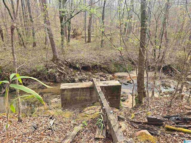 354 SPRINGWELL ROAD, Rockford, AL 35136