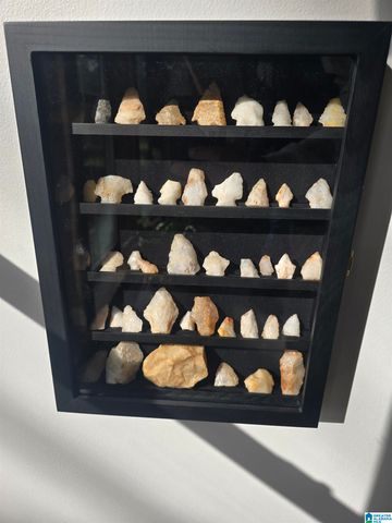 354 SPRINGWELL ROAD, Rockford, AL 35136