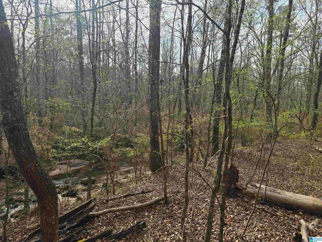 354 SPRINGWELL ROAD, Rockford, AL 35136