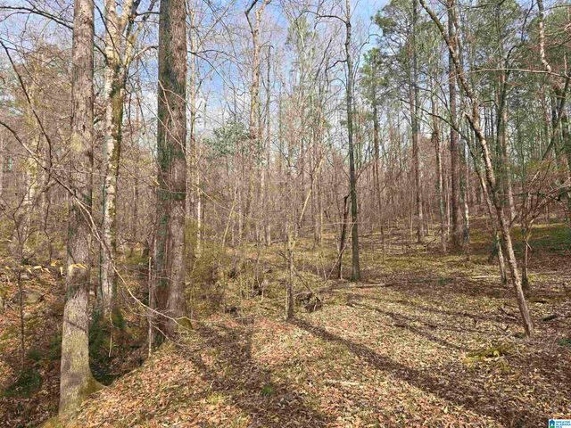 354 SPRINGWELL ROAD, Rockford, AL 35136