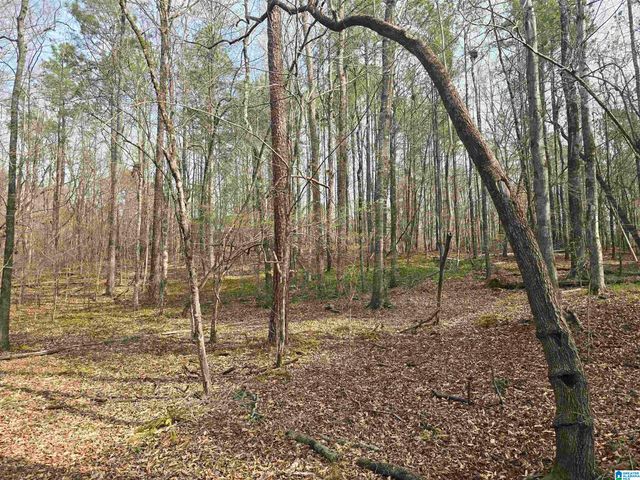 354 SPRINGWELL ROAD, Rockford, AL 35136