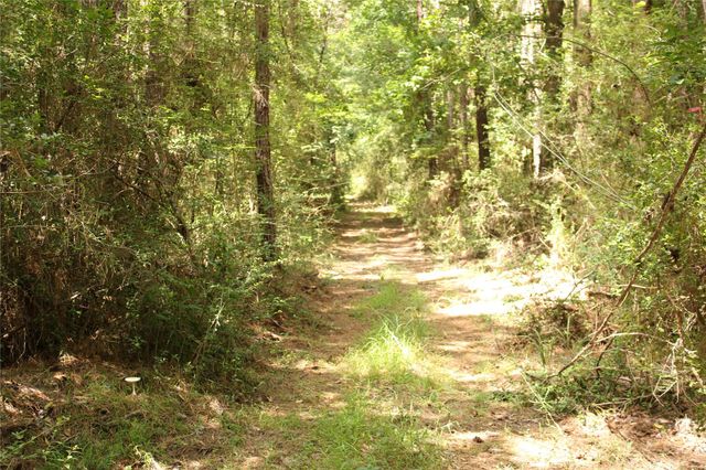 TBD 10th Street, Shepherd, TX 77371