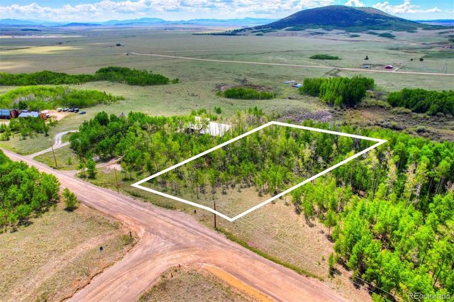 1527 Sheep Ridge Road, Fairplay, CO 80440