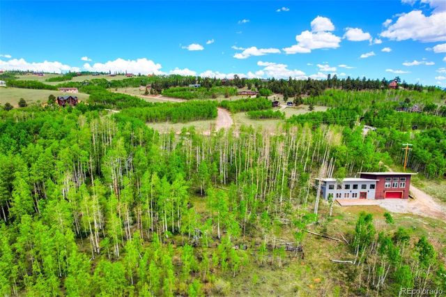 1527 Sheep Ridge Road, Fairplay, CO 80440
