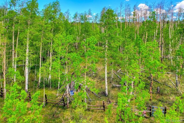 1527 Sheep Ridge Road, Fairplay, CO 80440