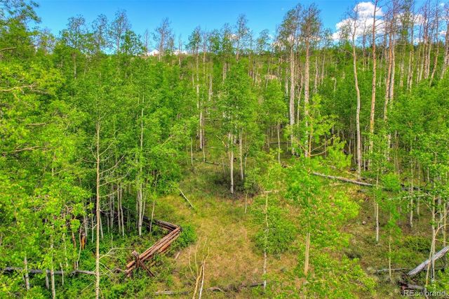 1527 Sheep Ridge Road, Fairplay, CO 80440