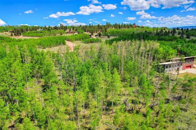 1527 Sheep Ridge Road, Fairplay, CO 80440