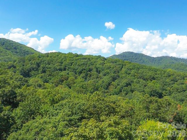 99999 High Top Mountain Road Lot 3, Leicester, NC 28748