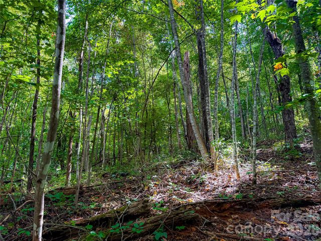 99999 High Top Mountain Road Lot 3, Leicester, NC 28748