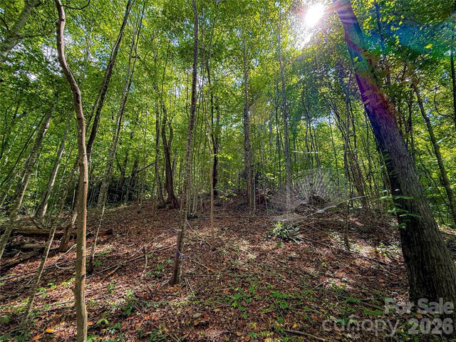99999 High Top Mountain Road Lot 3, Leicester, NC 28748