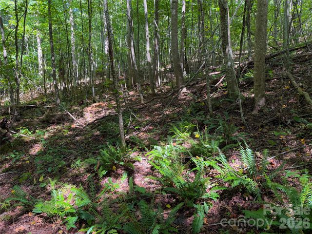 99999 High Top Mountain Road Lot 3, Leicester, NC 28748