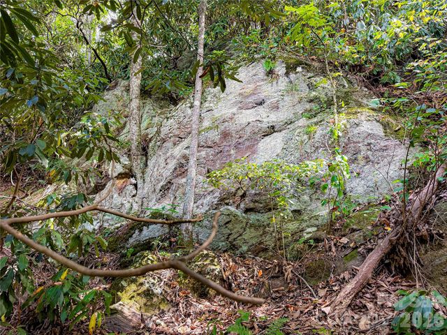99999 High Top Mountain Road Lot 3, Leicester, NC 28748