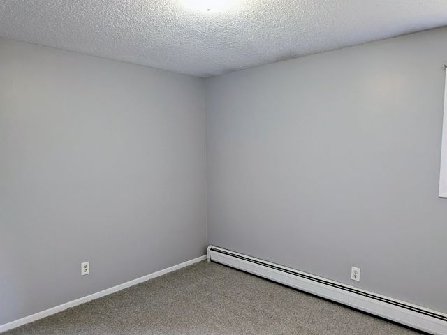 303 Elizabeth Street, Alma, MI 48801