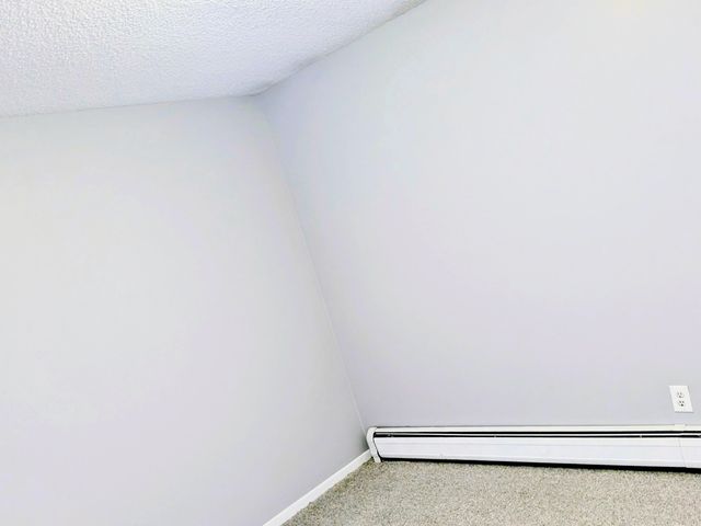 303 Elizabeth Street, Alma, MI 48801