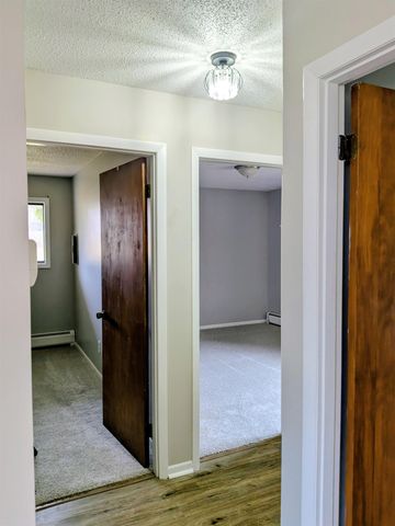 303 Elizabeth Street, Alma, MI 48801