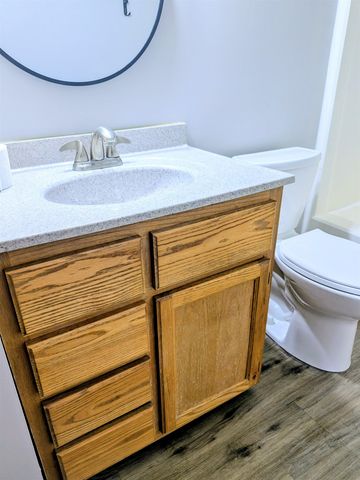 303 Elizabeth Street, Alma, MI 48801