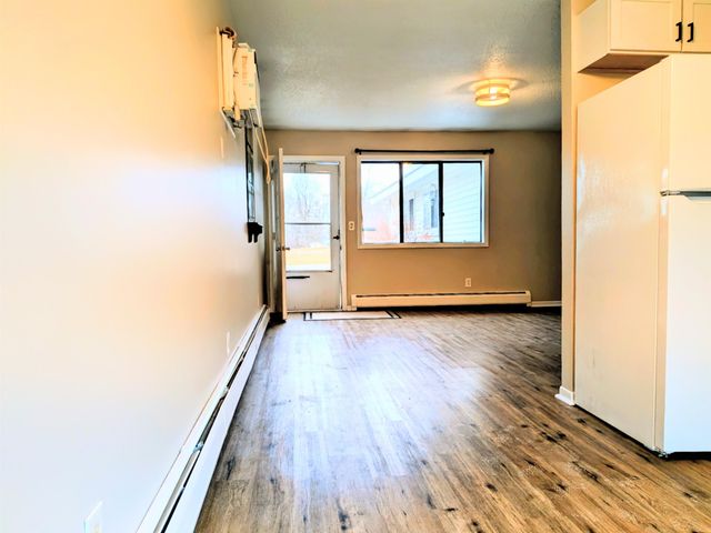 303 Elizabeth Street, Alma, MI 48801