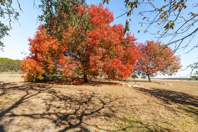 5777 County Road 309 (1), Cranfills Gap, TX 76637