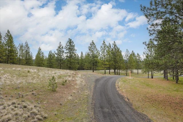 xx N Bernhill Rd, Nine Mile Falls, WA 99026