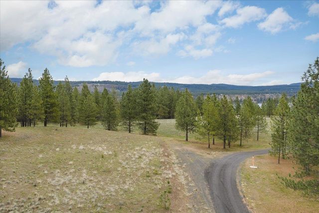 xx N Bernhill Rd, Nine Mile Falls, WA 99026