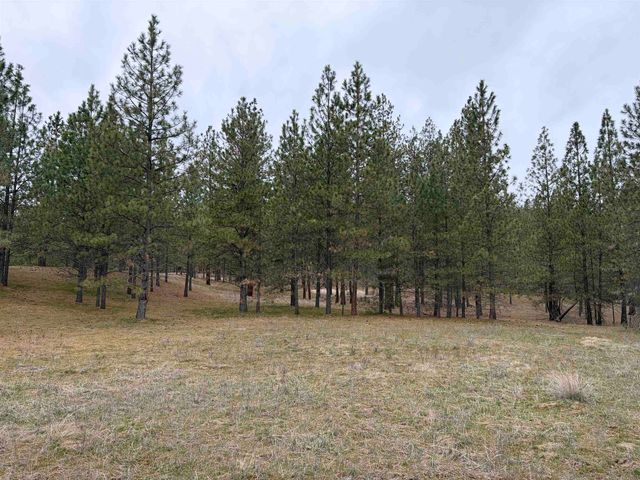 xx N Bernhill Rd, Nine Mile Falls, WA 99026